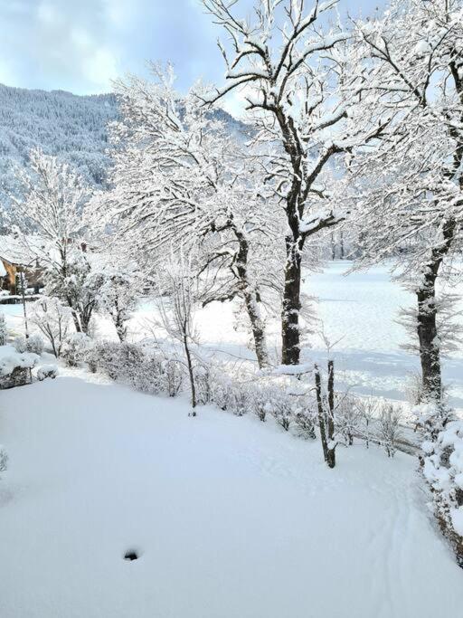 Appartement Le D12 Samoens Exterior photo